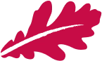 Red oak leaf illustration